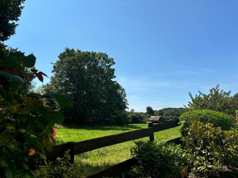 Blick ins Gr�ne Terrassenwohnung Wetter