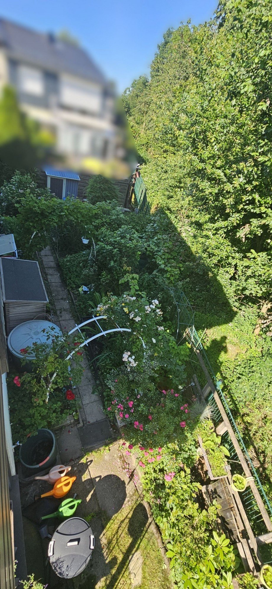 Gartenbeet neben dem Haus Reihenendhaus Sprockh�vel