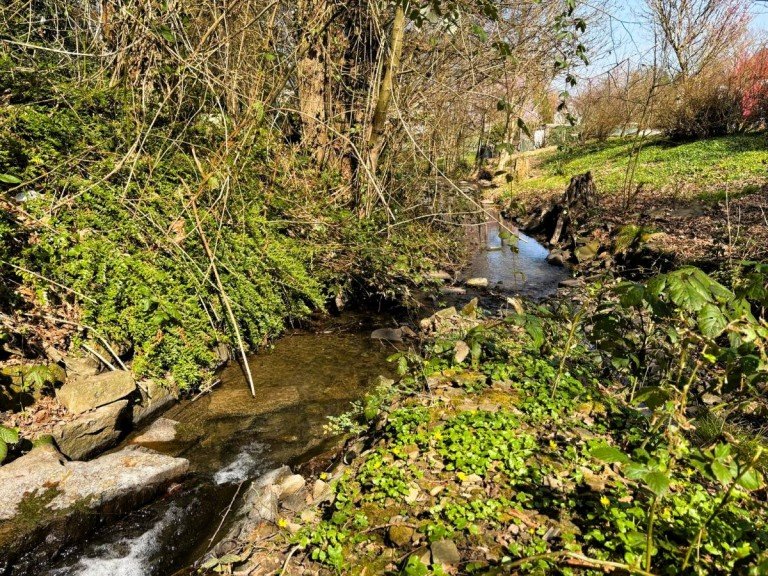 Bachlauf vor dem Haus Wetter (Ruhr) Reihenmittelhaus Reihenmittelhaus als ETW in Wetter-Wengern